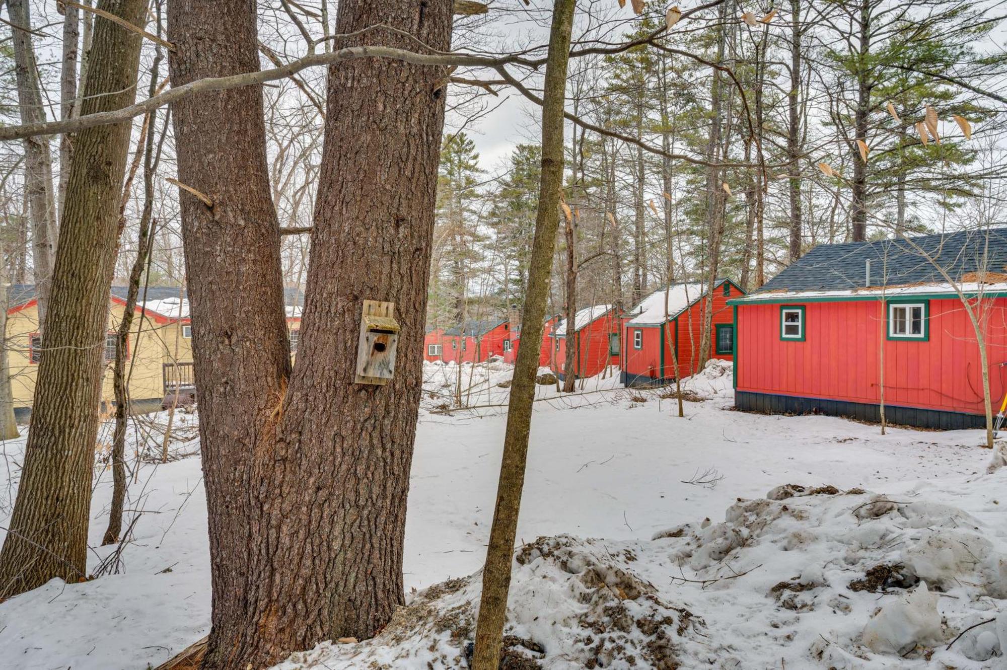 Cozy Laconia Studio With Pool Access - 2 Mi To Lake! Apartment Exterior foto